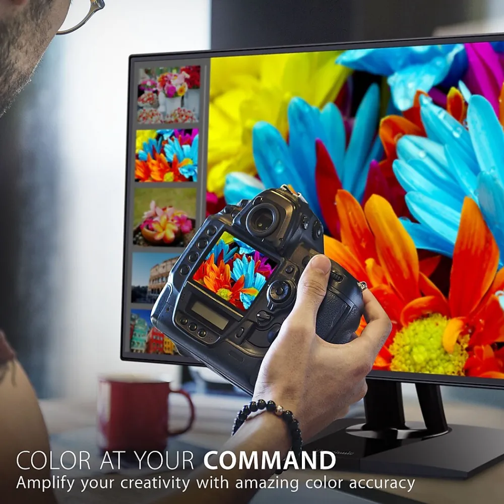 Outlet ViewSonic ColorPro 24" 60 Hz LCD Monitor, Black (VP2468A)