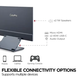 Online ViewSonic ColorPro 16