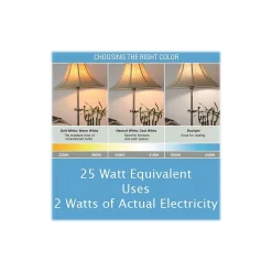 Viribright 2-Watt Daylight LED Bulb, Dozen (74566-12)