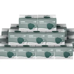 Disposable KN95 Face Mask, Adult, Dark Green, 20 Masks/Box, 50 Boxes/Pack (TBN203232)<WeCare Sale
