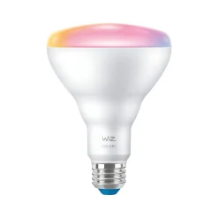 Philips WiZ 65W Equivalent BR30 LED Smart Bulb, White, 2/Pack (603654)