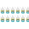 Force2 Disinfecting Wipes, 220 Wipes/Container, 12/Carton (MC7070)<2XL Corp Best