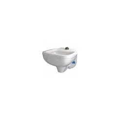 Zurn Blowout Service Sink, White, Wall-Mounted (Z5410)